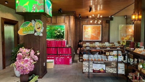 Công bố điểm trưng bày, giới thiệu, quảng bá nông đặc sản Đồng Tháp tại Hà Nội