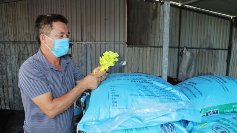 Bắc Ninh tăng cường kiểm tra buôn bán, sử dụng thuốc, vắc xin thú y không rõ nguồn gốc