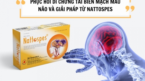 Cách phục hồi di chứng tai biến mạch máu não và giải pháp từ Nattospes
