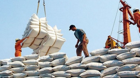 Giá lúa gạo trong nước và xuất khẩu đều tăng