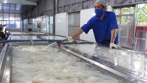 Xây dựng thương hiệu OCOP cho các sản phẩm tại Bến Tre