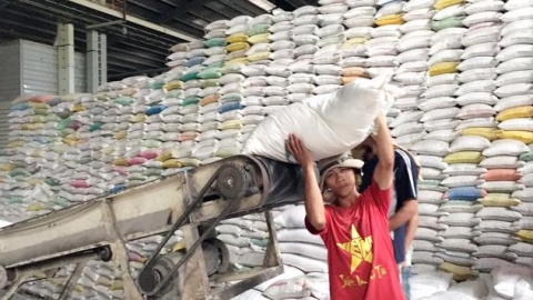 10 tháng, gạo xuất khẩu đạt gần 3 tỷ USD; Giá gạo xuất khẩu tăng