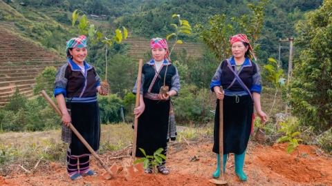Trao tặng 20.000 cây xanh cho huyện Mù Cang Chải