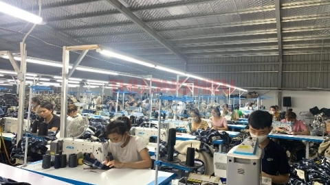Thanh Hoá tập trung tháo gỡ khó khăn, đẩy mạnh sản xuất, kinh doanh để giải quyết việc làm cho lao động hồi hương