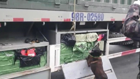 Hải quan Lạng Sơn phát hiện 342 kg pháo nổ trong hầm cốp xe tải