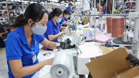 TP. Hồ Chí Minh: 95% người lao động tại các doanh nghiệp trở lại làm việc sau Tết