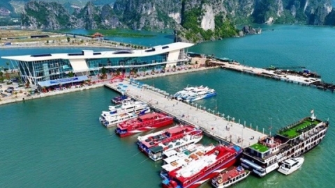 Vân Đồn đốc thúc di chuyển phương tiện vận tải khách đường thủy sang cảng tàu du lịch Ao Tiên phục vụ khách đi đảo