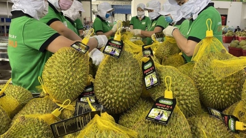Mời doanh nghiệp tham dự Hội nghị Xúc tiến Thương mại, Đầu tư và Hợp tác kinh tế Việt Nam - Trung Quốc (Tứ Xuyên)
