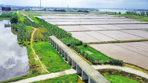 Quảng Ninh quy hoạch 03 tuyến đường sắt đô thị dài gần 300km