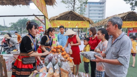 Kết nối tiêu thụ nông sản an toàn cho nữ thanh niên vùng dân tộc thiểu số