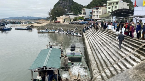 Quảng Ninh thả 2,3 triệu con giống thủy sản về biển