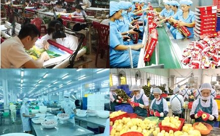 Phát triển kinh tế tư nhân trở thành động lực quan trọng của nền kinh tế thị trường