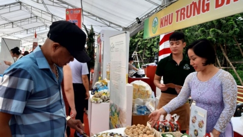 Hà Nội công bố và trao giấy chứng nhận sản phẩm OCOP năm 2022