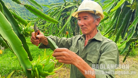 Lạng Sơn: Chủ động phát triển sản phẩm OCOP, thực hiện tiêu chí xã nông thôn mới nâng cao