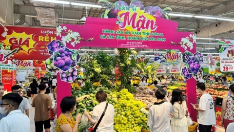 Hà Nội: Khai mạc Tuần lễ mận - nông sản an toàn tỉnh Sơn La và các tỉnh thành phố 2023