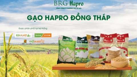 Gạo Hapro Đồng Tháp – Tự hào Thương hiệu quốc gia