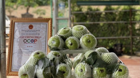 Huyện Văn Giang (Hưng Yên): Phấn đấu có thêm 4 sản phẩm được công nhận sản phẩm OCOP