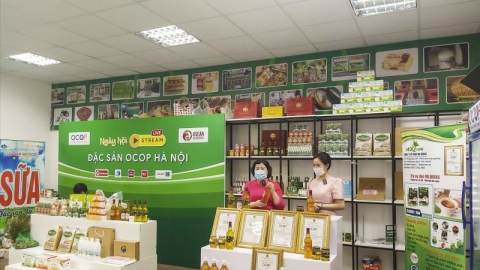 Hà Nội: Đẩy mạnh đưa sản phẩm OCOP vươn xa