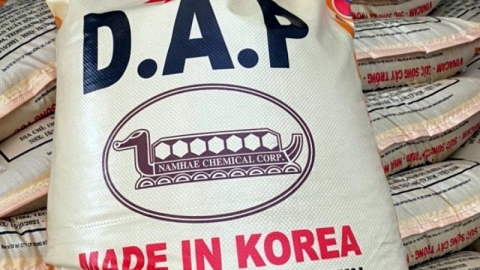 Cục Bảo vệ thực vật thông tin về việc tạm dừng nhập khẩu sản phẩm phân DAP từ Hàn Quốc