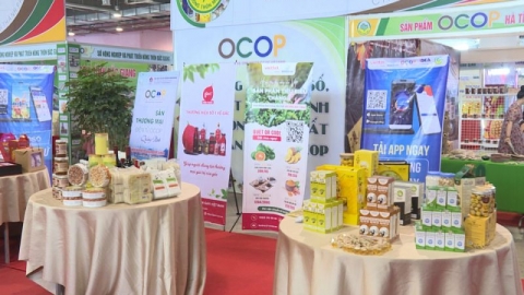 Quảng Ninh: Thực hiện nhiều giải pháp phát triển thương mại điện tử OCOP