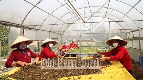 Nam Định: Phát triển và nâng hạng các sản phẩm OCOP