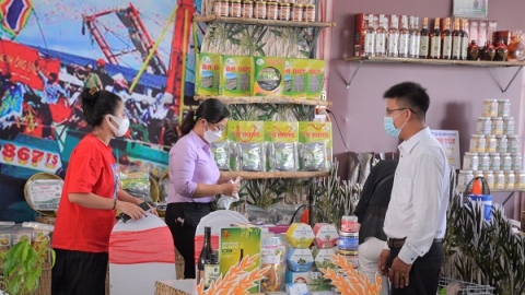 Cà Mau: Tổ chức hội thi "mẫu mã bao bì và câu chuyện sản phẩm OCOP"