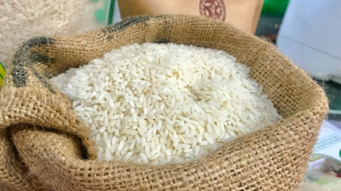 Giá lúa gạo hôm nay 21/9: Biến động trái chiều