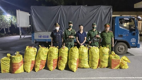 Bộ đội Biên phòng Quảng Ninh: Bắt vụ vận chuyển số lượng lớn pháo lậu