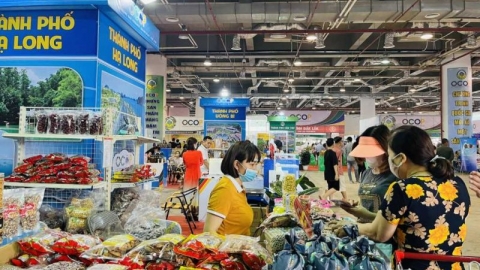 Quảng Ninh: Khẳng định thương hiệu các sản phẩm OCOP