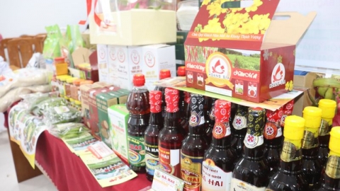 Hội chợ triển lãm Công Thương - Sản phẩm OCOP tỉnh Bình Thuận sẽ diễn trong 07 ngày