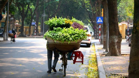 Dự báo thời tiết ngày 01/10: Miền Bắc nắng nóng, miền Nam mưa và triều cường