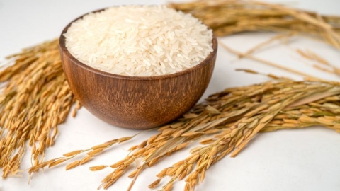 Giá lúa gạo hôm nay 01/10: Duy trì ổn định