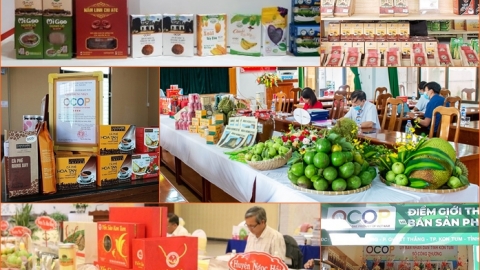 Kon Tum điều chỉnh, bổ sung sản phẩm tham gia Chương trình OCOP năm 2023