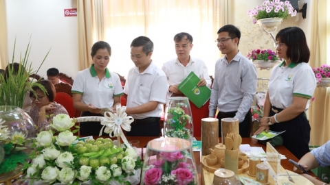 Mê Linh thêm 29 sản phẩm đạt tiêu chuẩn OCOP