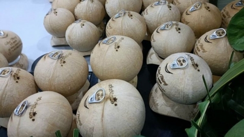 Xuất khẩu dừa có thể đạt 1 tỷ USD trong năm 2024