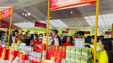 Khai mạc không gian quảng bá, kết nối sản phẩm OCOP