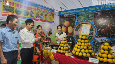 Khai mạc lễ hội cam và các sản phẩm nông nghiệp Hà Tĩnh lần thứ 6