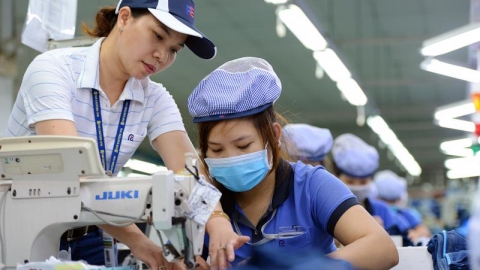 TP. Hồ Chí Minh cần tuyển dụng hơn 81 nghìn lao động trong quý IV