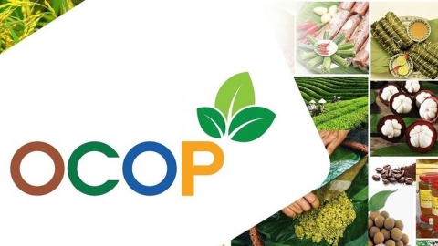 Tăng cường kết nối tiêu thụ sản phẩm OCOP