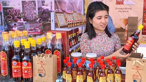 Chương trình quảng bá sản phẩm OCOP, sản phẩm đặc trưng thương hiệu - Đà Nẵng 2023