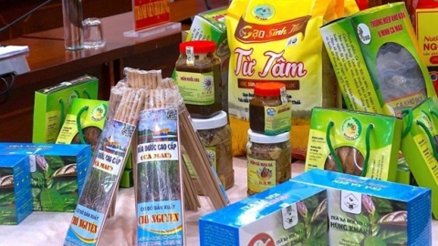 Cà Mau: Khơi dậy tiềm năng, phát triển sản phẩm OCOP