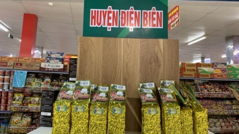 Đừng để “hữu danh vô lực”