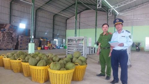 Tiền Giang phát hiện 02 cơ sở mua bán trái cây vi phạm quy định về biển hiệu