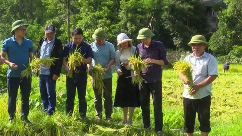 Thanh Hóa tăng cường hợp tác trong lĩnh vực nông nghiệp với tỉnh Hủa Phăn