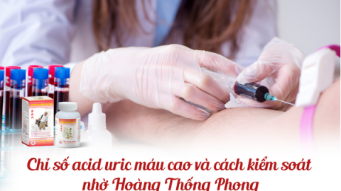 Chỉ số acid uric máu cao và cách kiểm soát nhờ Hoàng Thống Phong