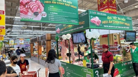 Nông nghiệp BaF Việt Nam (BAF) tăng 30% lãi ròng sau kiểm toán