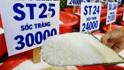 Giá lúa gạo hôm nay 12/4: Giá gạo đồng loạt tăng