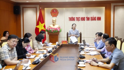 Giám sát thu ngân sách nhà nước trên địa bàn thành phố Hạ Long
