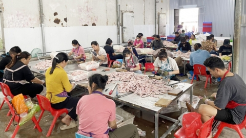 Quảng Ninh thu giữ 2 tấn chân vịt không rõ nguồn gốc