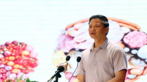 Bắc Ninh phát động “Tháng hành động vì an toàn thực phẩm” năm 2024